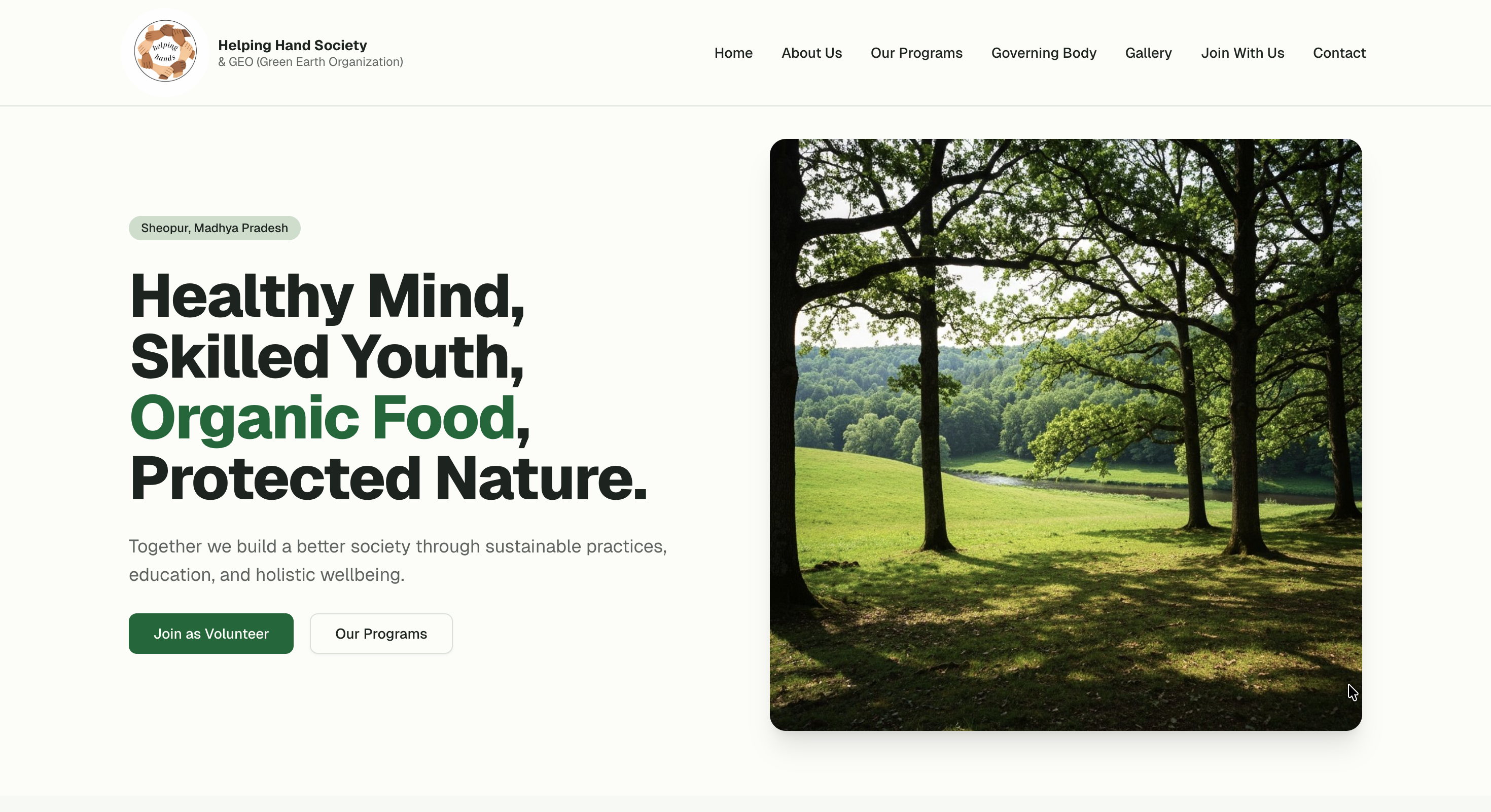 Design Preview 5